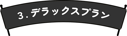 デラックスプラン